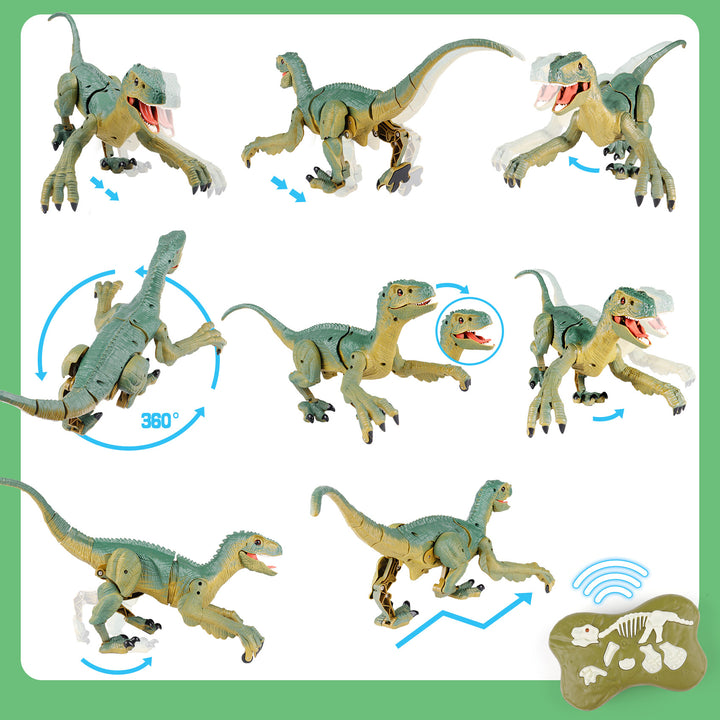 RC Dinosaur Toys - Velociraptor